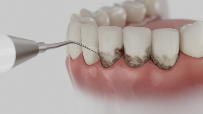 Reliable Dental contractor in Ramsey County County, ND by Dentist Open Now